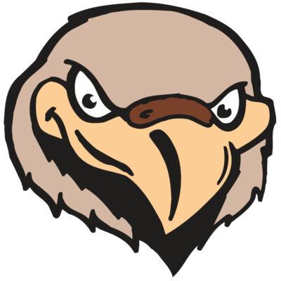 AR FALCON 33 RC Thumbnail