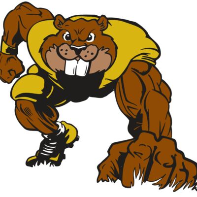 AR14 BEAVER FBLL 03 RQC Thumbnail