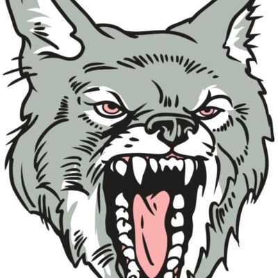 AR32 COYOTE 11 RQC Thumbnail