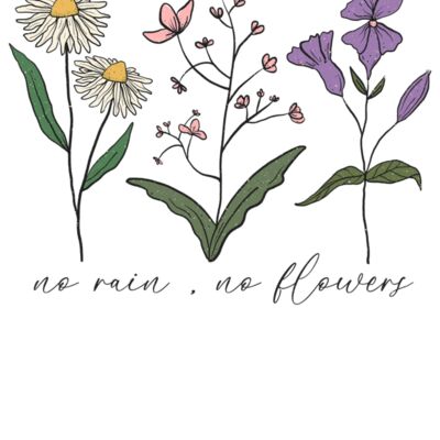NO RAIN NO FLOWERS  WILDFLOWERS Thumbnail
