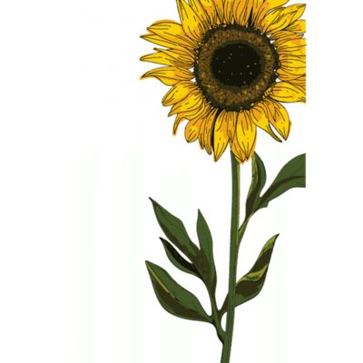 SUNFLOWER FLAG  TALL SUNFLOWER Thumbnail