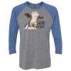 Unisex Triblend Three-Quarter Raglan T-Shirt Thumbnail