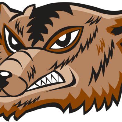 Wolverines Thumbnail